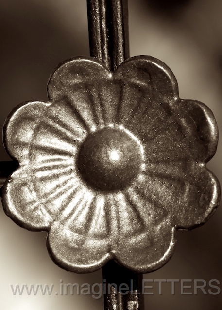 Wall_Art_Alphabet_Photography_Art_ 1586.jpg